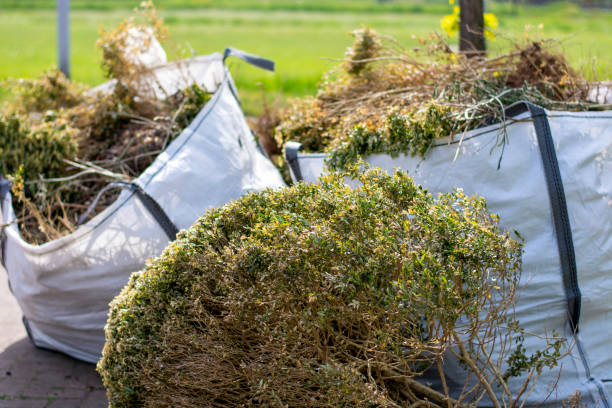 Best Electronics Removal Services  in St Gabriel, LA